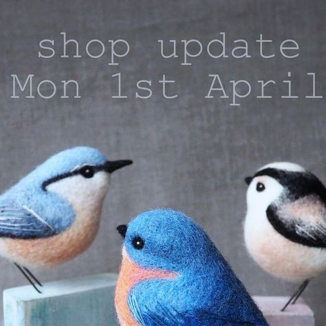 Żenia on Instagram: "Tomorrow afternoon:) Six birds, four brooches & one bunny 💙#needlefelting #felting #woolsculpture #fibreart #ukartist #cambridgeuk #birds #birdsofinstagram #birdlovers #bluebird #nuthatch #longtailedtit #robin #shopupdate" 1st April, Cambridge Uk, Uk Artist, Bluebird, Bird Lovers, Needle Felted, Birdy, Blue Bird, Needle Felting