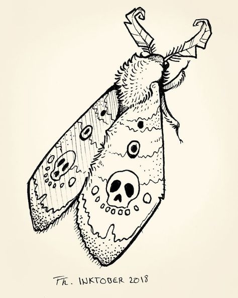 Inktober 2018 Day 29 #inktober2018 #drawing #illustration #moth #skulls #traditionalart #theresatobschall #ink #autumn #antenna #helloween… Moth Man Illustration, Moth Cartoon Drawing, Moth Drawing Easy, Moth Antenna Drawing, Lightning Bug Drawing, Moth Bleach Design, Deadhead Moth Tattoo, Easy Moth Drawing, Moth Antenna