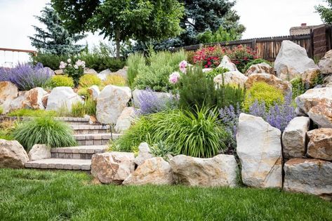 7 Stunning Colorado Backyard Landscaping Ideas and Designs (Photos) 16 Zero Scape, Colorado Backyard, Full Sun Landscaping, Colorado Landscaping, Colorado Landscape, Indian Paintbrush, Backyard Landscaping Ideas, Landscape Materials, Perfect Plants