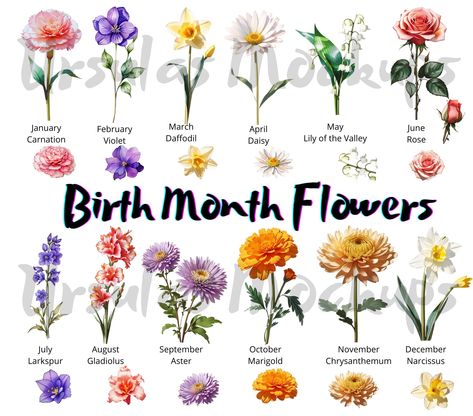 Virgen Mary Tattoo, Common Courtesy, Flower Clipart Png, Png Images Free, Birth Month Flower, Wildflower Bouquet, Language Of Flowers, Diy Watercolor, Month Flowers