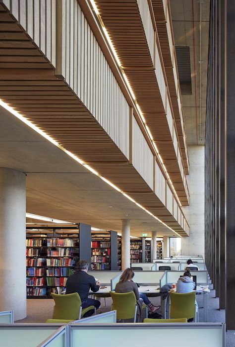 Essex University Extension / Patel Taylor Essex University, Library Inspiration, Concrete Architecture, Architectural Engineering, Student Center, University Campus, Split Level, Luz Natural, Reading Room