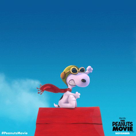 Grab your goggles and hit the skies. Snoopy is traveling the globe for National Aviation Day! Snoopy Gifs, National Aviation Day, Snoopy Gif, Cartoon Friends, Sally Brown, Peanuts Movie, Never Grow Old, Joe Cool, Peanuts Gang