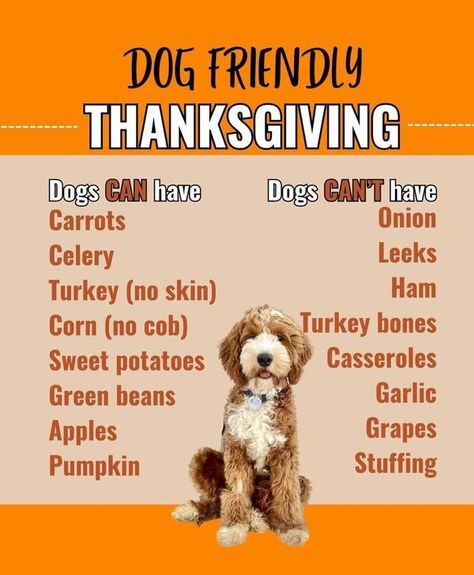 Jenkintown Community Page | Facebook Grape Apple, Dog Thanksgiving, Garlic Green Beans, Pitbull Mom, Puppy Lover, Pet Hacks, Sweet Potato Casserole, Homemade Dog Food, Dog Eating