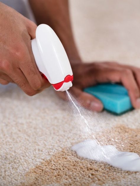 Rug Cleaning Diy, Best Carpet Stain Remover, Coffee Stain Removal, Cleaning Area Rugs, Rug Diy, Clean Carpet, Carpet Stain, Stain Remover Carpet, Removing Carpet