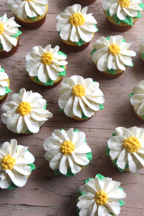 Piped daisy cupcakes using tip number 104 . . . #daisy #daisycupcakes #daisies #cupcakes #cupcakedecorating #icingflowers #flowers #flowercupcakes #daisytheme Daisies Cupcakes, Daisy Cupcakes, Piping Flowers, Piping Techniques, Icing Flowers, Cupcake Icing, Flower Cupcakes, Piping, Cupcake