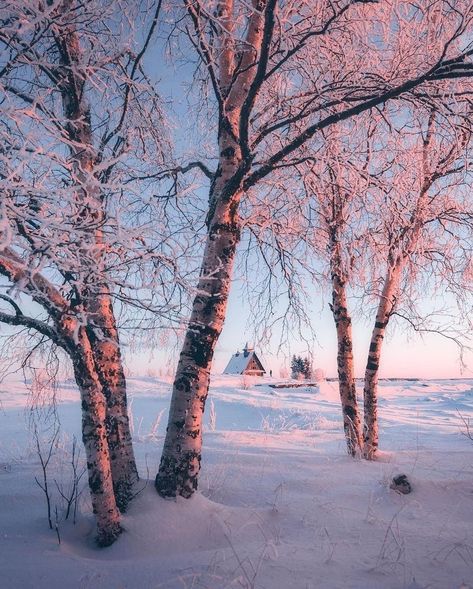 Winter Photography Nature, Winter Landscape Photography, England Winter, Beautiful Leaves, Snow Photography, Winter Cabin, Winter Photo, Winter Magic, Winter Scenery