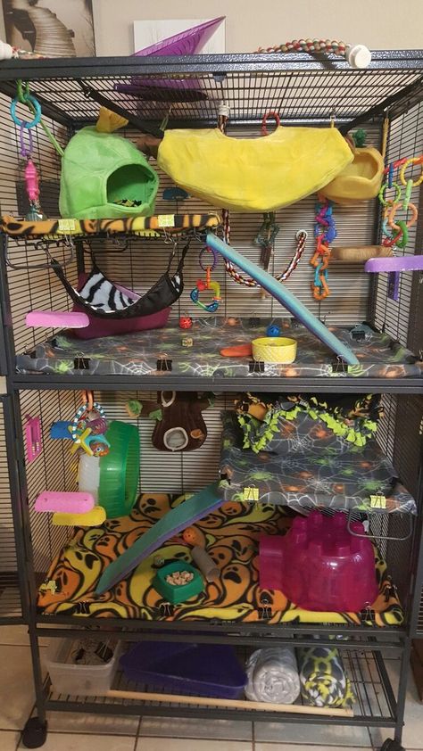 Colorful rat cage Rat Cage Diy, Rat Ideas, Pet Rat Cages, Rat Care, Rat Cage Accessories, Marmoset Monkey, Chinchilla Cage, Dumbo Rat, Pet Rodents