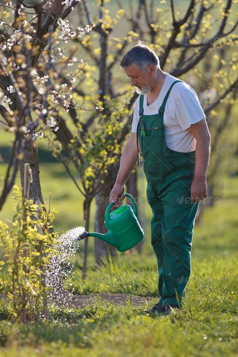 watering orchard/garden - portrait of a senior man gardening in by lightpoet. watering orchard/garden ¨C portrait of a senior man gardening in his garden (color toned image)#portrait, #senior, #garden, #watering Man Gardening, Garden Portrait, Garden Orchard, Orchard Garden, Garden Watering, Garden Photography, Home Landscaping, Garden Photos, Colorful Garden