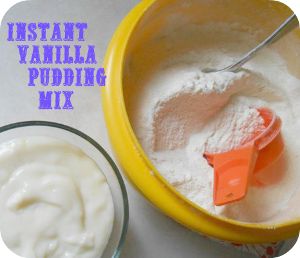 Homemade Instant Vanilla Pudding Mix | AllFreeCopycatRecipes.com Vanilla Pudding Recipes, Cooking Easy Recipes, Homemade Vanilla Pudding, Homemade Dry Mixes, Sugar Free Pudding, Homemade Pudding, Recipes Family, Cooking Easy, Instant Pudding Mix