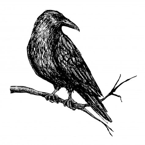 Crows Drawing, Branch Drawing, Branch Tattoo, Crow Tattoo, Forest Tattoos, Hand Drawn Vector Illustrations, Mountain Tattoo, Bird Silhouette, Head Tattoos