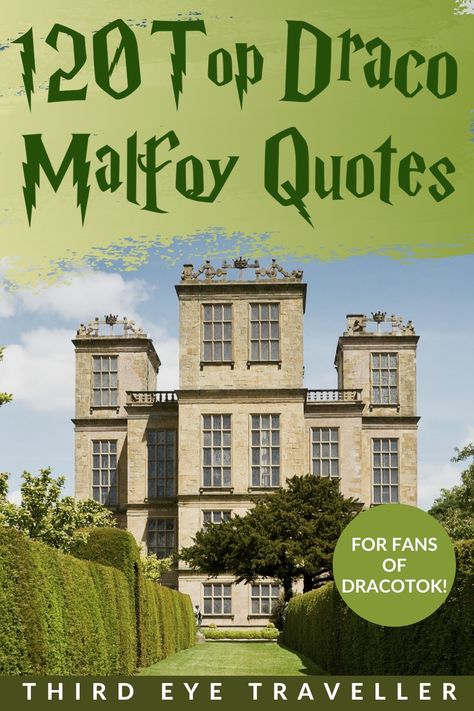 120 Top Draco Malfoy Quotes For Any Harry Potter or DracoTok Fan! 3 Harry Potter Slytherin Quotes, Malfoy Quotes, Slytherin Draco, Draco Malfoy Quotes, Harry Potter Book Quotes, Slytherin Quotes, Malfoy Family, Books And Movies, Gay Harry Potter