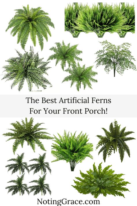 We took our dead plants and empty planters and replaced them with artificial ferns that look real. Here are the best artificial ferns for your front porch. Ferns On Front Porch Planters, Artificial Plant Outdoor Ideas, Faux Ferns For Front Porch, Artificial Ferns On Front Porch, Fake Ferns On Front Porch, Front Porch Ferns, Ferns On Front Porch, Fake Ferns, Macho Fern