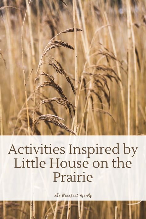 Little House On The Prairie Unit Study, Little House On The Prairie Activities, Little House On The Prairie Party, Little House On The Prairie Aesthetic, Homeschooling First Grade, Grassland Biome, Pioneer Activities, Prairie Aesthetic, Fam Goals