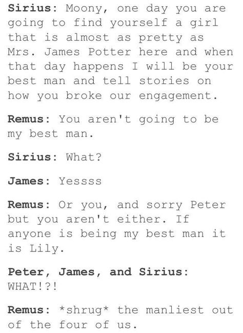 James Finds Out About Wolfstar, Harry Potter Memes Hilarious, Harry Potter Puns, Harry Potter Headcannons, Harry Potter Jokes, Harry Potter Marauders, Harry Potter Quotes, Harry Potter Obsession, James Potter