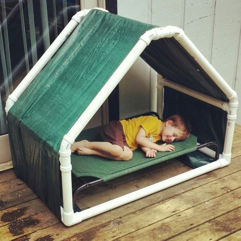 Stuffed Animal Zoo Diy Pvc, Pvc Dog House, Diy Elevated Dog Bed, Diy Projects Using Pvc Pipe, Pvc Pipe Furniture, Pvc Tent, Raised Dog Beds, Pvc Pool, Pvc Furniture