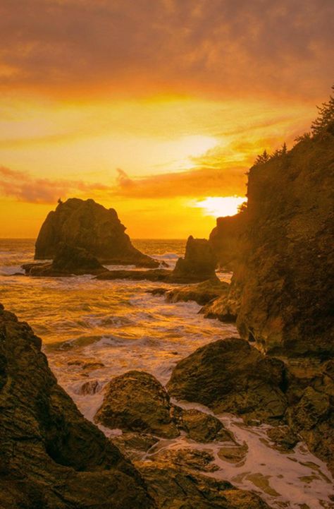 Oregon Aesthetic, Oregon Sunset, Brookings Oregon, Washington Beaches, Vision 2024, Marriage Proposal, Earth Lover, Oregon Coast, Photojournalism