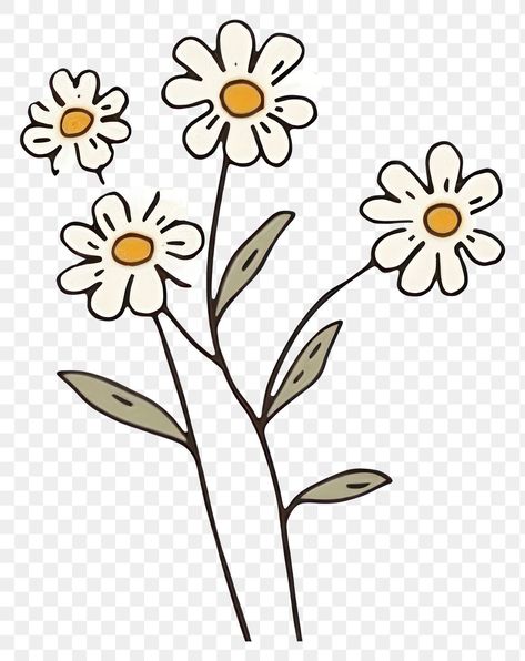 White Line Png, Daisy Flower Sketch, Drawing Transparent, Daisy Drawing, Line Png, Doodle Png, Logo Flower, Flower Sketch, Flower Sketches