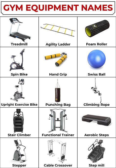 Gym Equipment Names and Pictures | Gym Vocabulary Gym Vocabulary, Gym Equipment Names, Picture Vocabulary, Vocabulary, Gym Equipment, Gym, Quick Saves