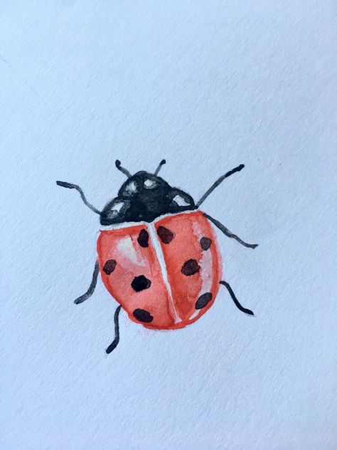 How To Paint Ladybugs, How To Draw A Ladybug, How To Draw Ladybug, Ladybugs Drawing, Art Inspo Watercolour, Drawing Of Ladybug, Easy Ladybug Drawing, Ladybug Drawing Simple, Ladybird Painting