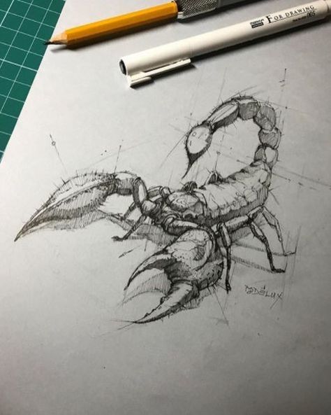 ... A Pen, A Pencil, A Drawing, Pencil Drawing, Scorpion, Pencil, Pen, On Instagram, Instagram