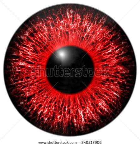 Red eye iris isolated element on white background Red Iris Eye, Eye Iris, Red Iris, Blur Image Background, Eye Texture, Joker Hd Wallpaper, Red Background Images, Photoshop Digital Background, Eyes Artwork