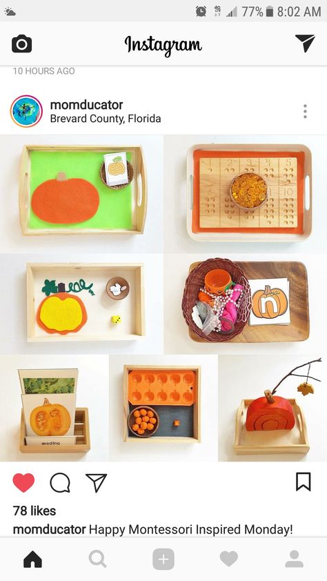 Pumpkin Montessori Activities, Montessori Shelf, Fall Lessons, Montessori Practical Life, Art Shelves, Montessori Math, Maria Montessori, Montessori Ideas, Parts Of A Plant