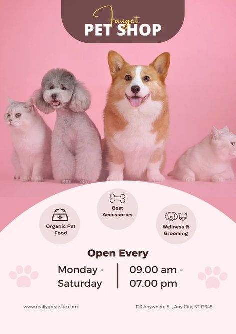 Pet Store Advertisement, Pet Advertising, Branding Portfolio, Pet Spa, Dog Food Brands, Royal Canin, Pet Wellness, Wet Dog Food, Best Dog Food