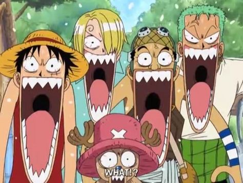 what?!xd one piece zoro sanji usopp chopper luffy funny faces Meme One Piece, One Piece Funny Moments, Susanoo Naruto, One Piece Photos, One Piece Meme, One Piece Crew, One Piece Wallpaper Iphone, One Piece Funny, One Peice Anime