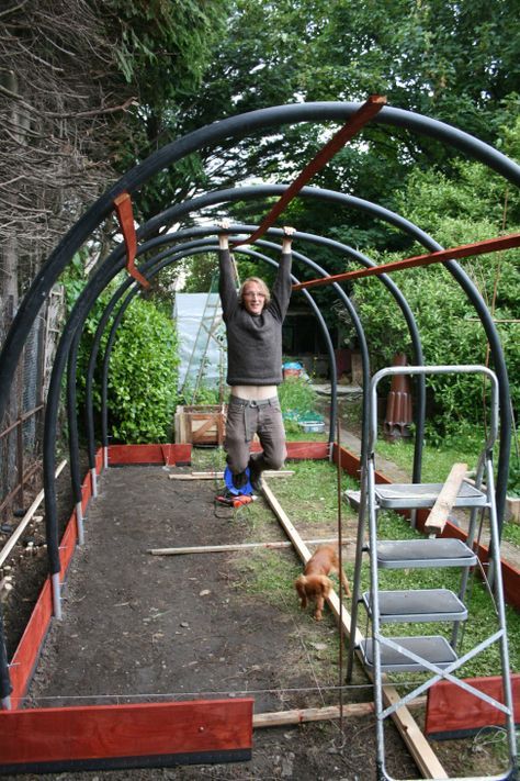 Polytunnel Gardening, Diy Greenhouse Plans, Cattle Panels, Build A Greenhouse, Home Greenhouse, Backyard Greenhouse, Permaculture Design, Small Greenhouse, Greenhouse Plans