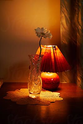 5056 Stock Media Search Results for 'opulence dark' – Stocksy Light In A Dark Room, Transparent Vase, A Dark Room, Vintage Lamp, Orange Light, Flower Stands, Dark Room, Vintage Lamps, Old Vintage