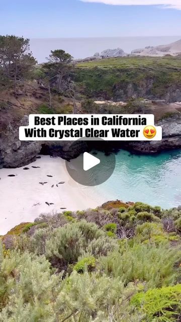 Bay Area Bound ❕ on Instagram: "Discover California’s Clearest Waters 🌊 

👇🏼 Save for your next trip 🔽 

📍China Cove (Point Lobos) (first clip)
📍Lover’s Point Beach (Pacific Grove)
📍Potato Harbor (Santa Cruz Island)
📍Mendocino Head (Mendocino)
📍Convict Lake (Mammoth)
📍Smith River (Jedediah Smith Redwoods SP)
📍Lake Helen (Lassen)
📍Lake Tahoe (Lake Vista)
📍McWay Falls (Big Sur)
📍Tenaya Lake (Yosemite)

#california #visitcalifornia #californiadreaming #californialove #californiaroadtrip #bayarea #losangeles #sacramento #bakersfield #beach #beachlife #lake #lakevibes #lakeview #lakeviews #sanjose #hayward #sfo #sanfranciscocalifornia #naturephotography #nature #water #crystalclear #clearwaterbeach #clearwater #bluewater #outdoors #fresno #sandiego #cali" Mcway Falls Big Sur, Convict Lake, Tahoe Lake, Santa Cruz Island, Mcway Falls, Yosemite California, Places In California, California City, Pacific Grove