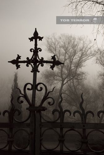 Cemetary Gate by TOB Terror, via Flickr Old Gates, Goth Gifts, How To Impress, Catty Noir, Old Cemeteries, Cemetery Art, Southern Gothic, Goth Girl, Gothic Aesthetic