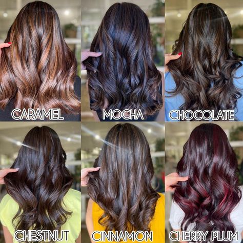 Hair Colour For Dark Black Hair, Hair Colour For Indian Skin Long Hair, Hair Global Highlights, Highlights Colour Shades, New Highlights Hair Colour 2023, Trendy Hair Colors For Brunettes Dark, Coloured Hair On Indian Skin, Hair Colour For Indian Skin Curly Hair, Brown Hair Types Colour