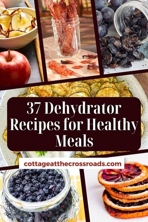 Dehydrator Recipes Potato, What Foods Can You Dehydrate?, What To Dehydrate, Cosori Dehydrator Recipes, Dehydrator Meals, Diy Dehydrator, Fruit Leather Recipe Dehydrator, Food Dehydrator Recipes, Dehydration Recipes