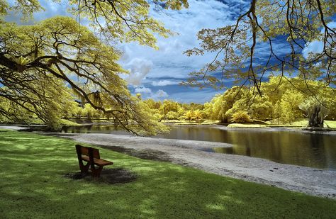 http://500px.com/photo/10162857/just-wait-[ir]-by-mohd-zaki-shamsudin， Taman Tasik Taiping, Lake Garden, Nikon D90, Taiping, A M, Just Wait, Art Portraits, Photography Nature, Nature Scenes