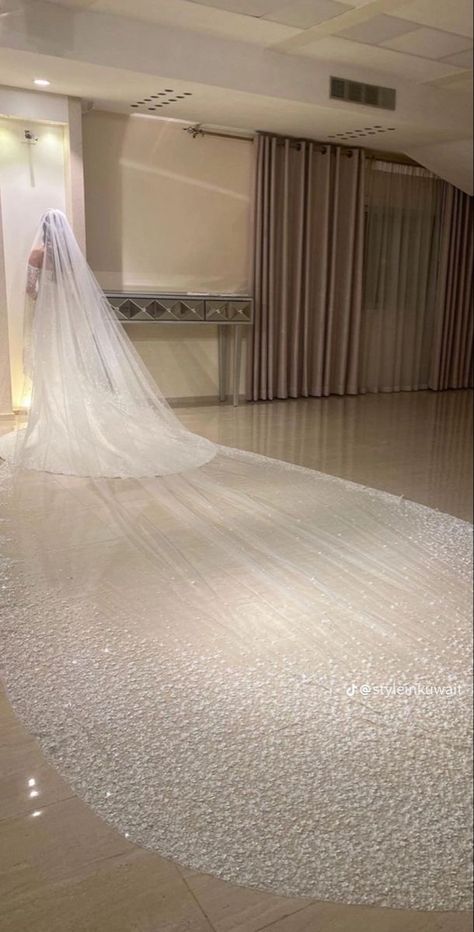 Long Veils Bridal, Cathedral Length Wedding Dress, Bridal Shop Ideas, Queen Wedding Dress, Cathedral Bridal Veils, Dream Wedding Reception, Long Veil Wedding, Plus Wedding Dresses, Bride Dress Simple