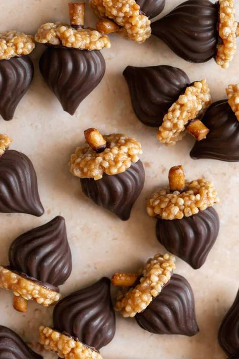 These easy and adorable Chocolate Acorns are the perfect DIY Fall chocolate treat. Dairy-free dark chocolate is molded into the chocolate candy kiss shape, topped with a mini no-bake, crispy quinoa cookie, and then finished with gluten-free pretzel pieces as the acorn stems! Chocolate Acorns, Chocolate Appetizers, Quinoa Cookies, Acorn Cookies, Recipe Inspirations, Crispy Quinoa, Gluten Free Pretzels, Peanut Butter Pretzel, Plant Based Breakfast