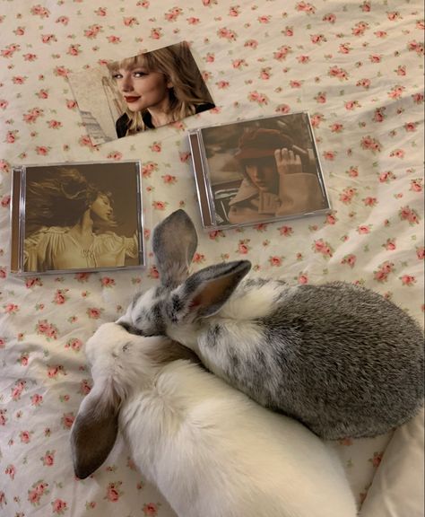 Swift Heart Rabbit, Rabbit Asthetic Picture, Listen To Taylor Swift, Cute Bunny Coquette, Pet Rabbits Aesthetic, Rabbit Cottagecore, Cute Bunnies, Cute Bunny, My Happy Place