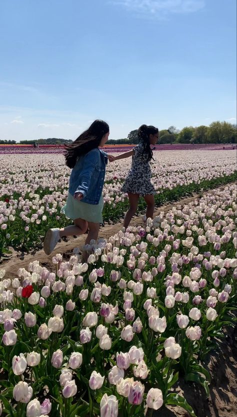 Flower Field With Friends, Tulip Field, Girls Diary, Tulip Fields, Friendship Goals, Flower Field, Tulips, Road Trip, Best Friends