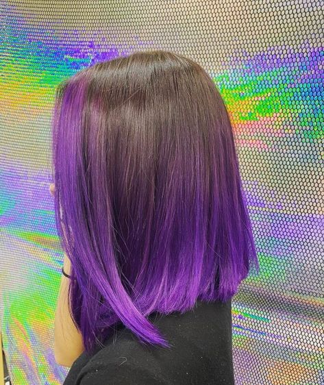 Purple Bottom Hair, Purple Highlights On Short Hair, Bottom Half Dyed Hair Purple, Black Hair With Coloured Highlights, Pelo Morado Aesthetic, Hair Color Ideas For Brunettes For Summer Shoulder Length, Dyed Hair Inspiration For Brunettes, Black And Purple Hair Short, Purple Ends Hair