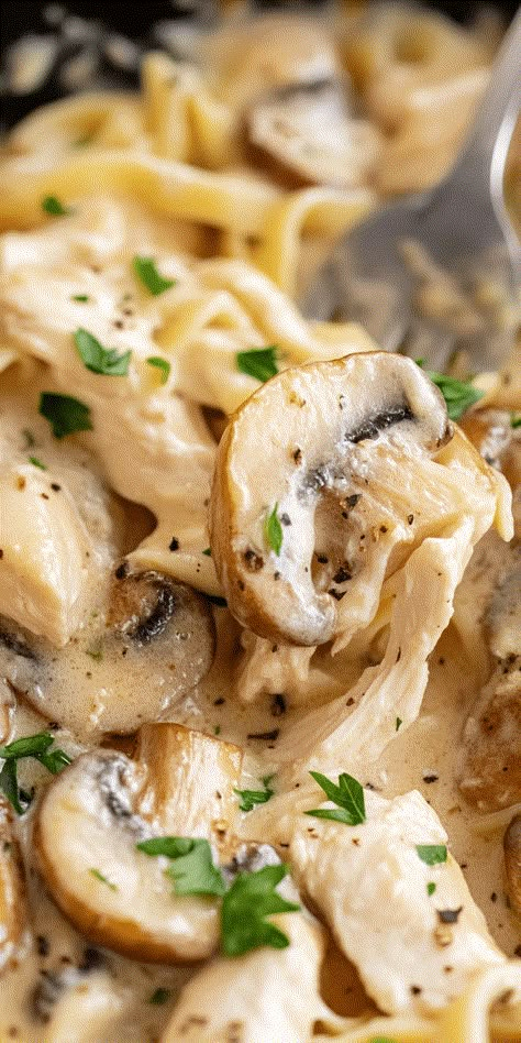 One-Pan Chicken & Mushroom Alfredo – Chasety Mushroom Shrimp Pasta, Chicken Mushroom Alfredo, Chicken Alfredo Dinner, Alfredo Recipes, Mushroom Alfredo, Chicken Mushroom Pasta, Alfredo Sauce Recipe Homemade, Fettuccine Alfredo Recipes, Pasta Meals