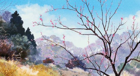 Pom Poko, Gif Background, Easy Landscape Paintings, Pix Art, Anime Gifs, Banner Gif, Unique Experiences, Two Birds, Animation Design