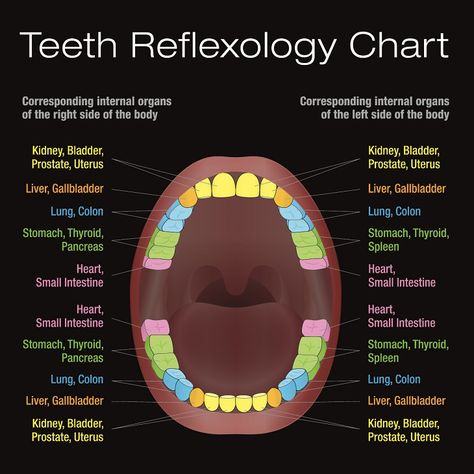 Teething Chart, Throat Remedies, Tooth Chart, Reflexology Chart, Teeth Health, Tooth Pain, Home Doctor, Acupressure Points, Sore Throat