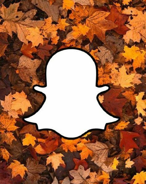 If you like to change how your app logo looks use this! Thanksgiving Icons Aesthetic, Halloween Snapchat Icon, Fall Snapchat Icon, Thanksgiving App Icons, Thanksgiving Widgets, Fall Apps, Thanksgiving Icons, Fall Ios, Phone Edits