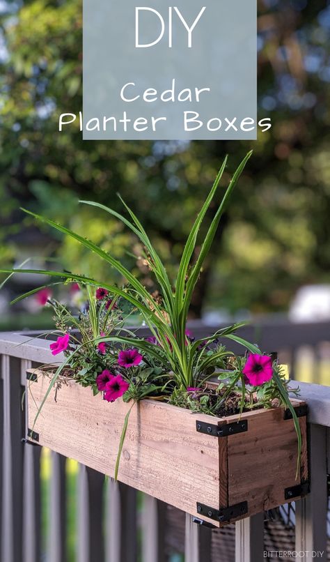 DIY Planter Boxes | build your own cedar planter boxes with plans from Bitterroot DIY – perfect for window boxes or to decorate the porch or patio . #patioinspo #modernfarmhouse #outdoorliving #deckdesign #patiodesign Diy Cedar Planter, Cedar Planter Boxes, Diy Cedar Planter Box, Planter Box Plans, Cedar Planter Box, Railing Planters, Cedar Planters, Window Planters, Diy Planter Box