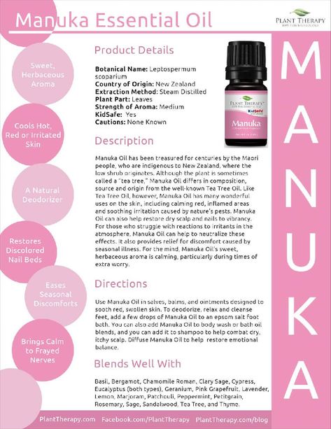 Manuka Essential Oil, Manuka Oil, Plant Therapy Essential Oils, Ball Recipes, Yl Oils, Mommy Tips, Essential Oil Plants, Yl Essential Oils, Essential Oil Blends Recipes