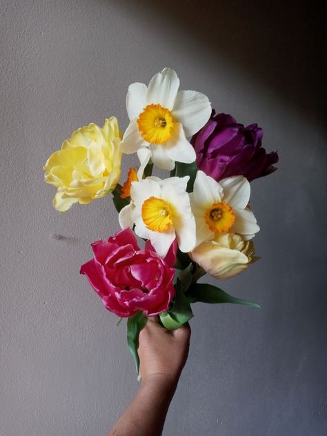 Double tulips and fancy daffodils Daffodil Flower Crown, Fancy Daffodils, Daffodils Wedding, Daffodil Wedding, Double Tulips, Daffodil Bouquet, Daffodil Flower, Peonies Bouquet, Kawaii Art