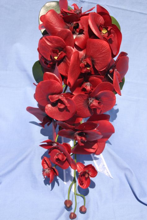 Red Phalaenopsis Red Orchid Teardrop Bouquet Red Orchid Wedding Bouquet, Red Orchid Bouquet, Orchid Wedding Theme, Orchid Centerpieces Wedding, Orchid Wedding Invitations, Orchid Wedding Cake, Orchid Bridal Bouquets, Orchids Wedding, Orchid Bouquet Wedding