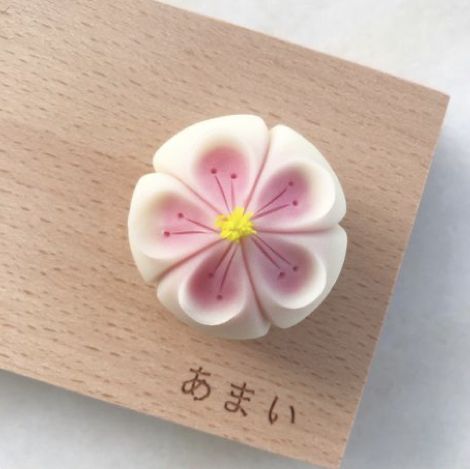 Wagashi Aesthetic, Ipoh Food, Wagashi Recipe, Wagashi Art, Japanese Wagashi, Korean Rice Cake, Japanese Sweets Wagashi, Azuki Bean, 3d Perler Bead