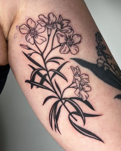 Oleander for Alex, next to a healed Lily of the Valley. We are working on a collection of poisonous plants so there will be more to come! Thanks again for caring for my sweet Miso while I was away 🖤 . #torontotattoo #floraltattoo #botanicaltattoo #blackworktattoo #femaletattooartist Female Tattoo Artists, Poisonous Plants, Botanical Tattoo, Line Work, More To Come, Blackwork Tattoo, Lily Of The Valley, Traditional Tattoo, The Valley